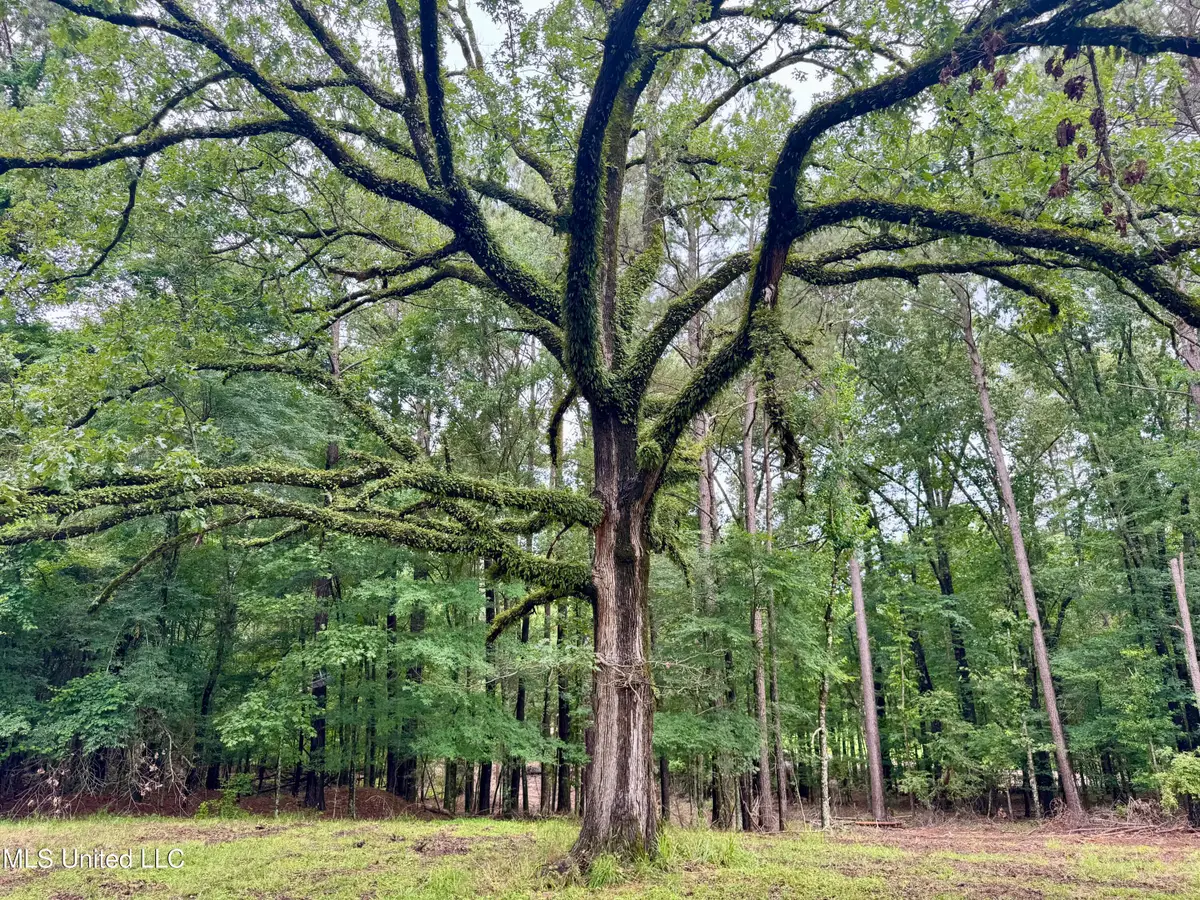 493 Gus Green Road, Flora, MS 39071 - #1