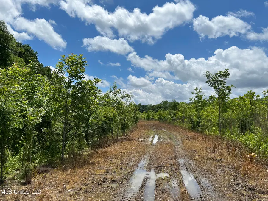 Brahan Road, Sledge, MS 38670 - Image #2
