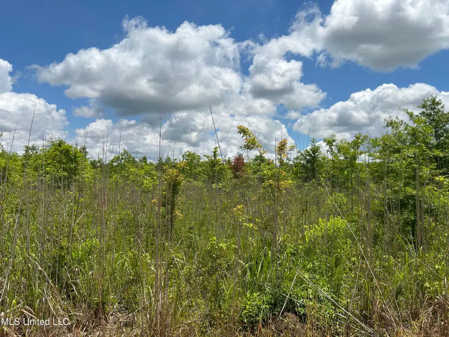 Brahan Road, Sledge, MS 38670 - Image #3