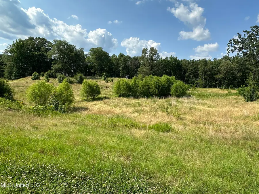 9050 Kerri Ruth Road, Hernando, MS 38632 - Image #2