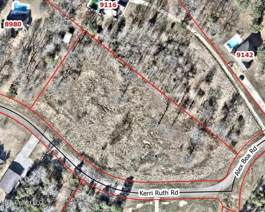 9050 Kerri Ruth Road, Hernando, MS 38632 - Image #3