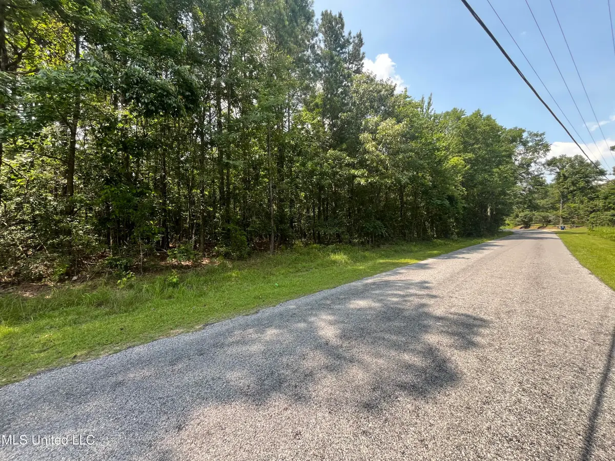 County Rd 37, Heidelberg, MS 39439 - Image #1