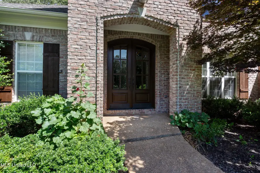 7672 Rigmoore Point, Olive Branch, MS 38654 - Image #3