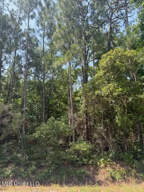 0 Poinsetta Loop, Pass Christian, MS 39571 - Image #2