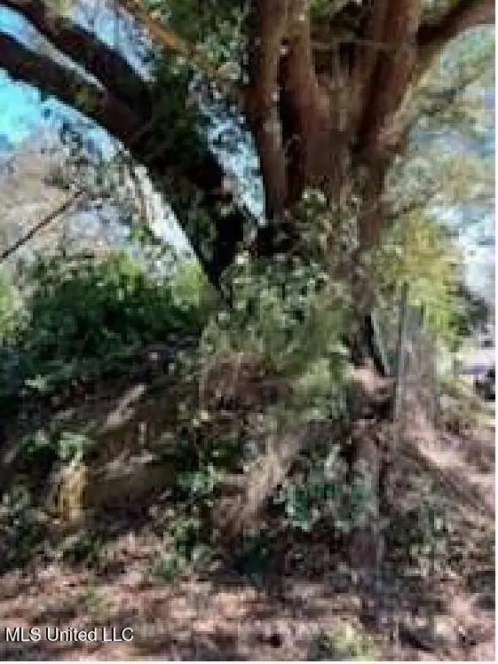 57 E Oak Street, Natchez, MS 39120