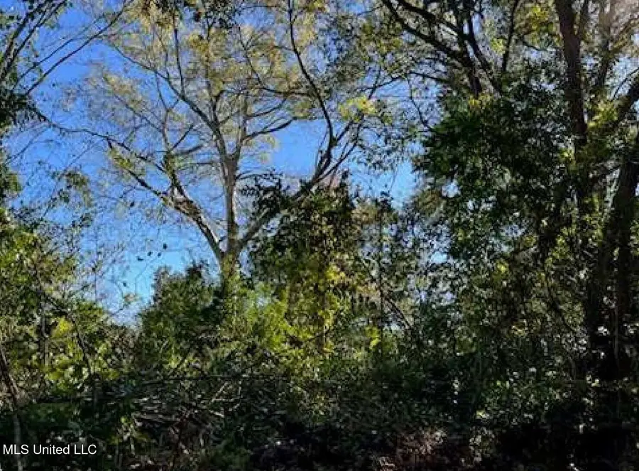 57 E Oak Street, Natchez, MS 39120 - Image #3