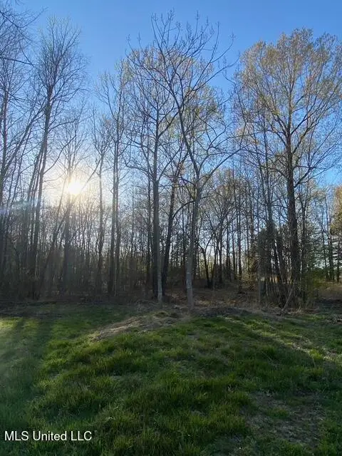 Gaines Road, Hernando, MS 38632 - #1