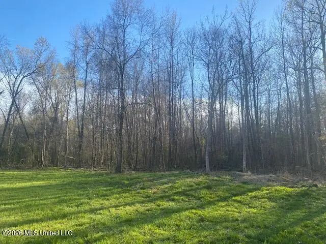Gaines Road, Hernando, MS 38632 - #2