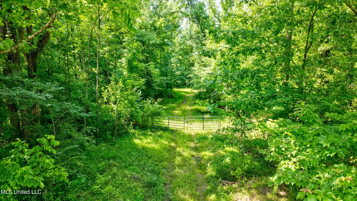 Gaines Road, Hernando, MS 38632 - Image #1