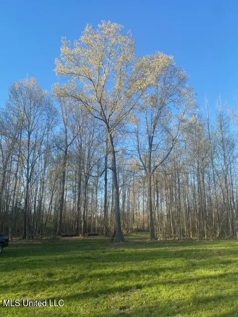 Gaines Road, Hernando, MS 38632 - Image #3