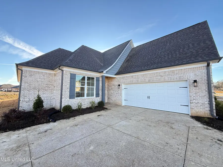 793 Coahoma Court, Nesbit, MS 38651 - Image #3