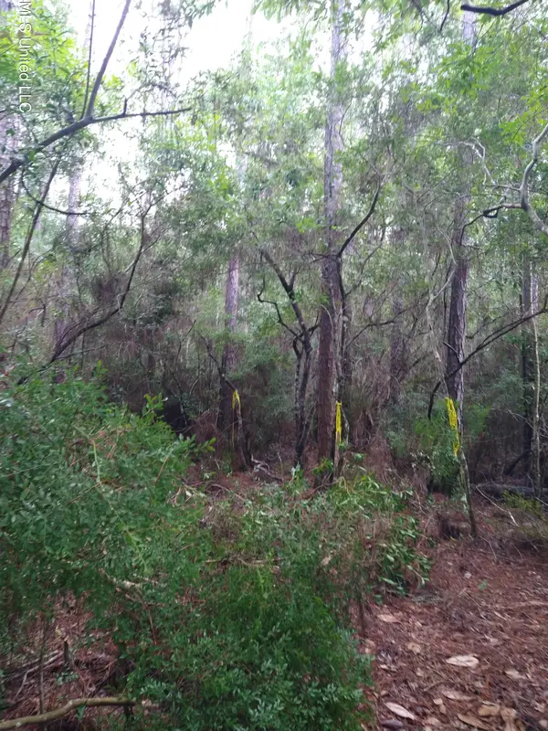 0 Hilda Street, Gulfport, MS 39503