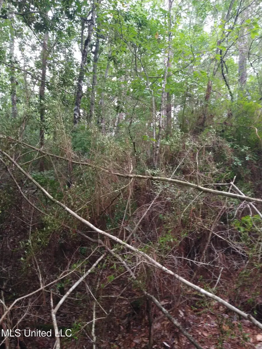 0 Hilda Street, Gulfport, MS 39503 - Image #2