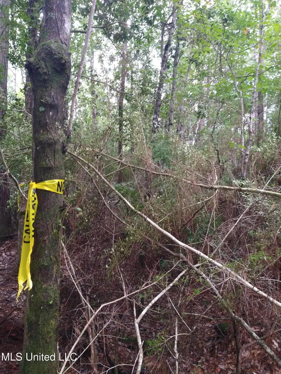 0 Hilda Street, Gulfport, MS 39503 - Image #3