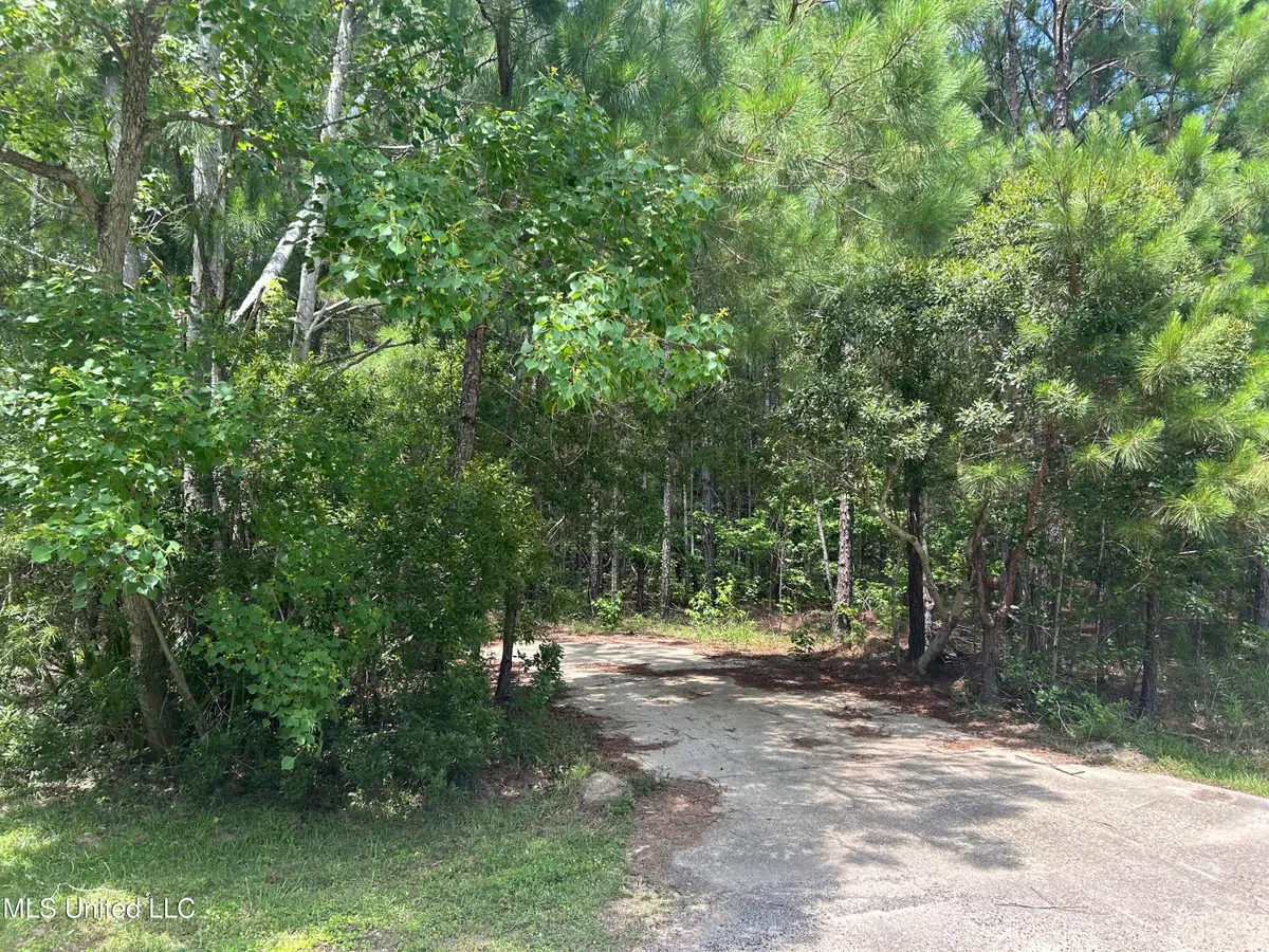 10205 Quail Run, Bay Saint Louis, MS 39520 - Image #1