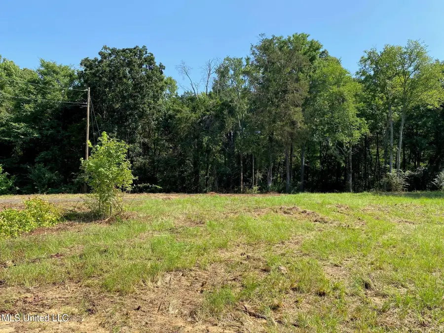 Mt Pleasant Road, Byhalia, MS 38611 - Image #3