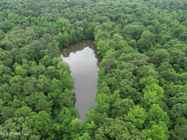 Gessler Rd, Benton, MS 39039