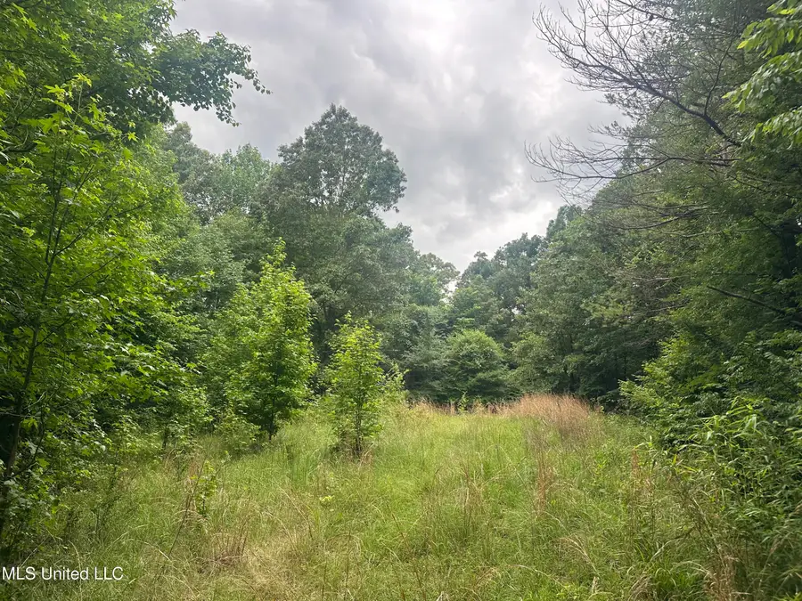 Gessler Rd, Benton, MS 39039 - Image #2