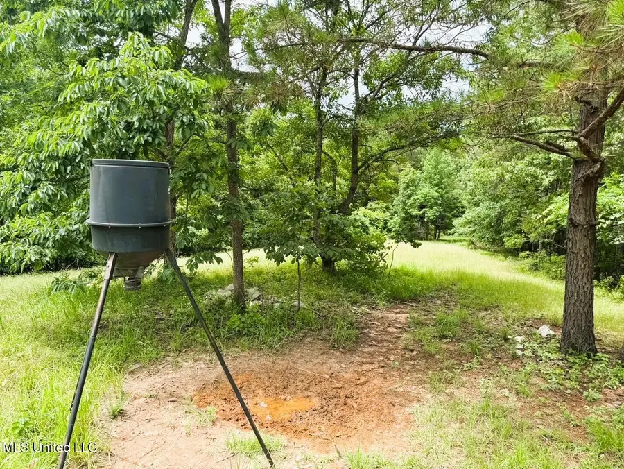 Tbd Pepper Town Rd, Eupora, MS 39744 - Image #2
