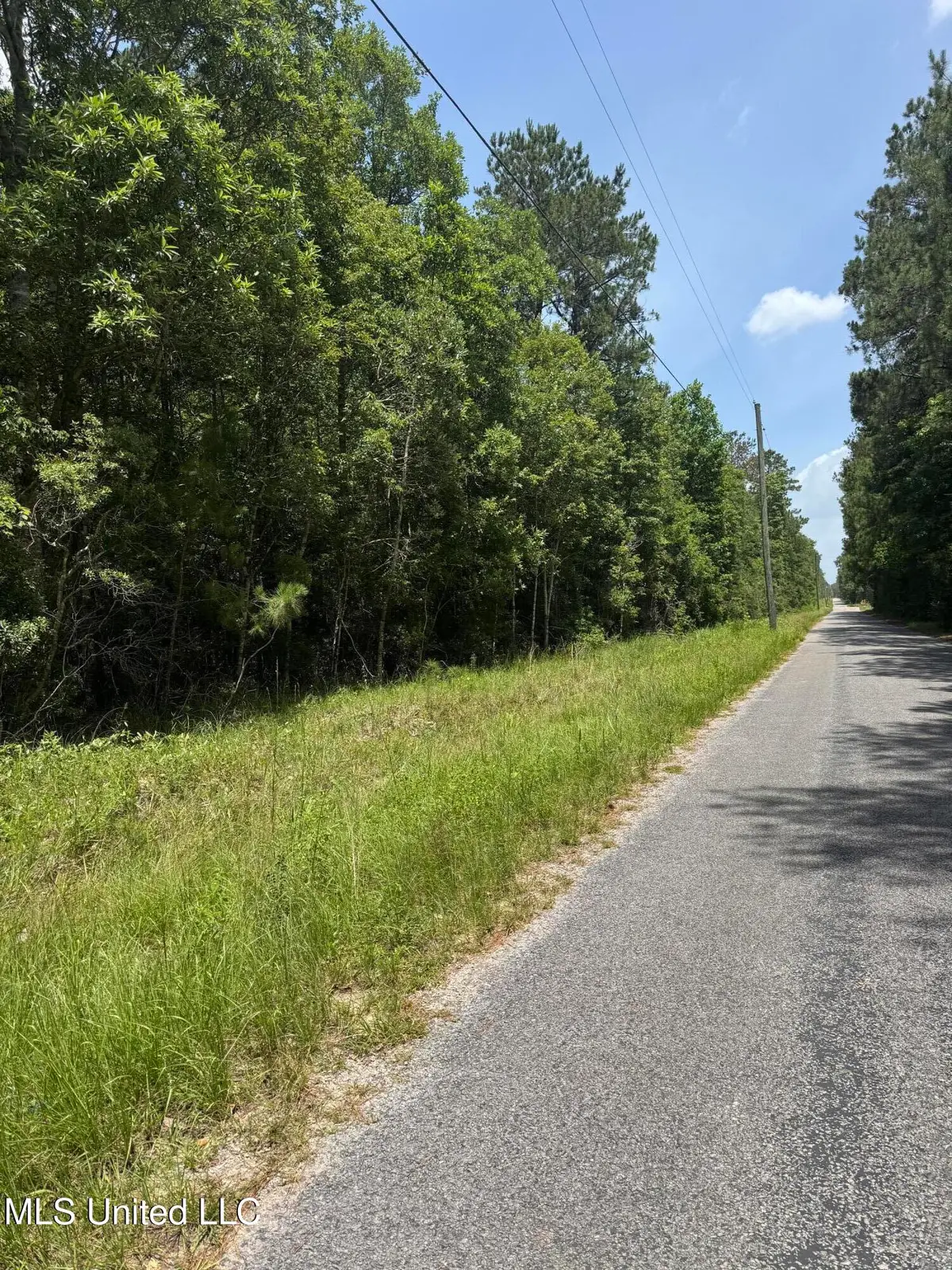 Shenandoah Rd Road, Poplarville, MS 39470 - Image #1