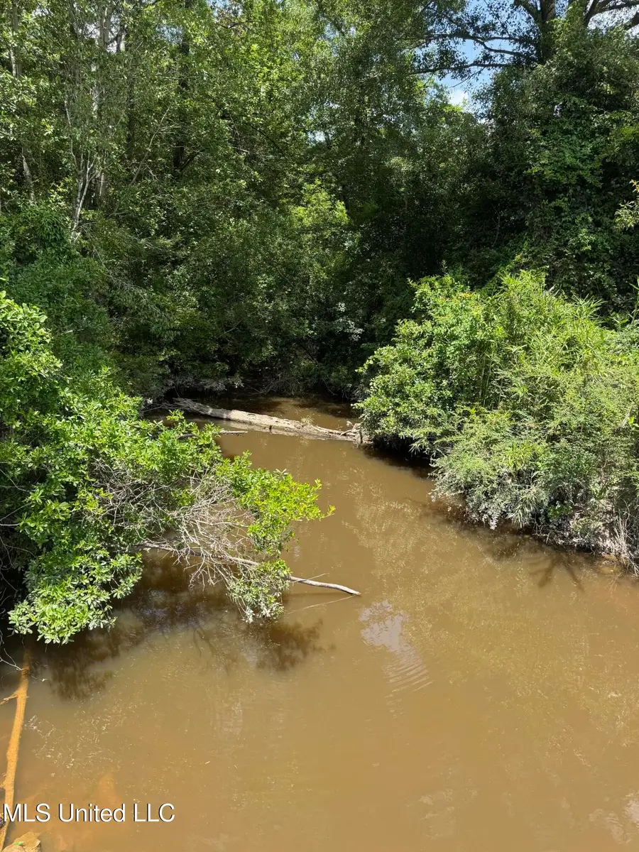 Shenandoah Rd Road, Poplarville, MS 39470 - Image #2