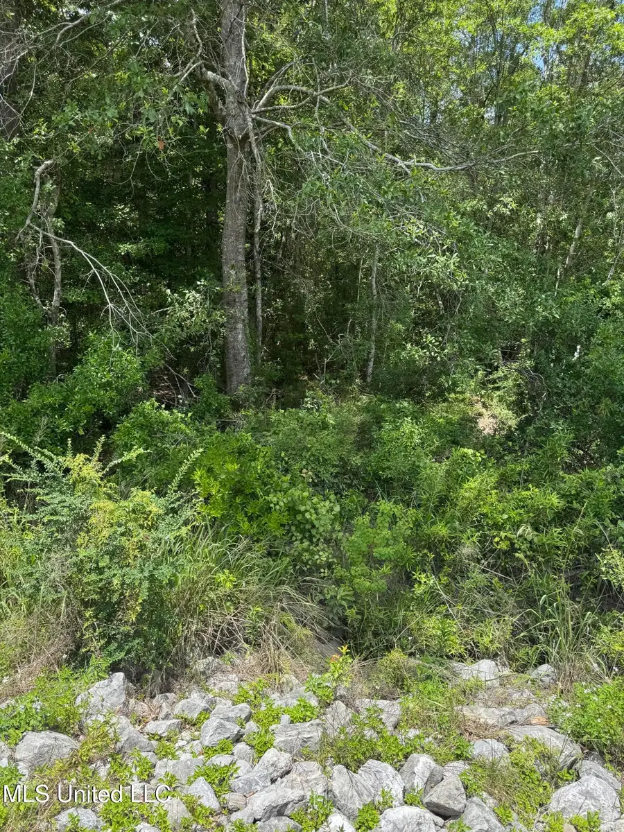 Shenandoah Rd Road, Poplarville, MS 39470 - Image #3