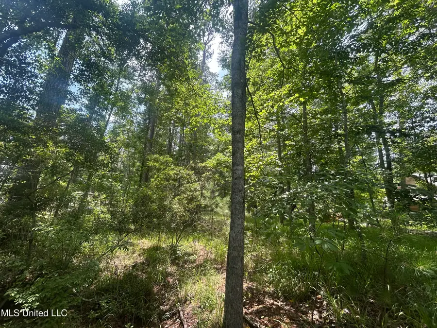 00 Pine Tree Road, Pachuta, MS 39347 - Image #2