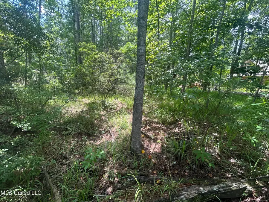 00 Pine Tree Road, Pachuta, MS 39347 - Image #3