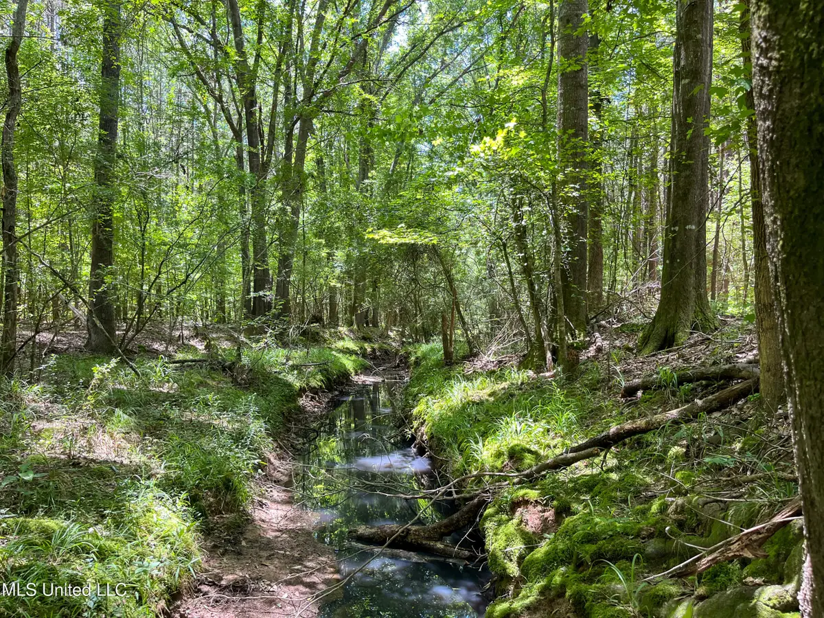 Chasewood Drive, Jackson, MS 39212 - Image #1