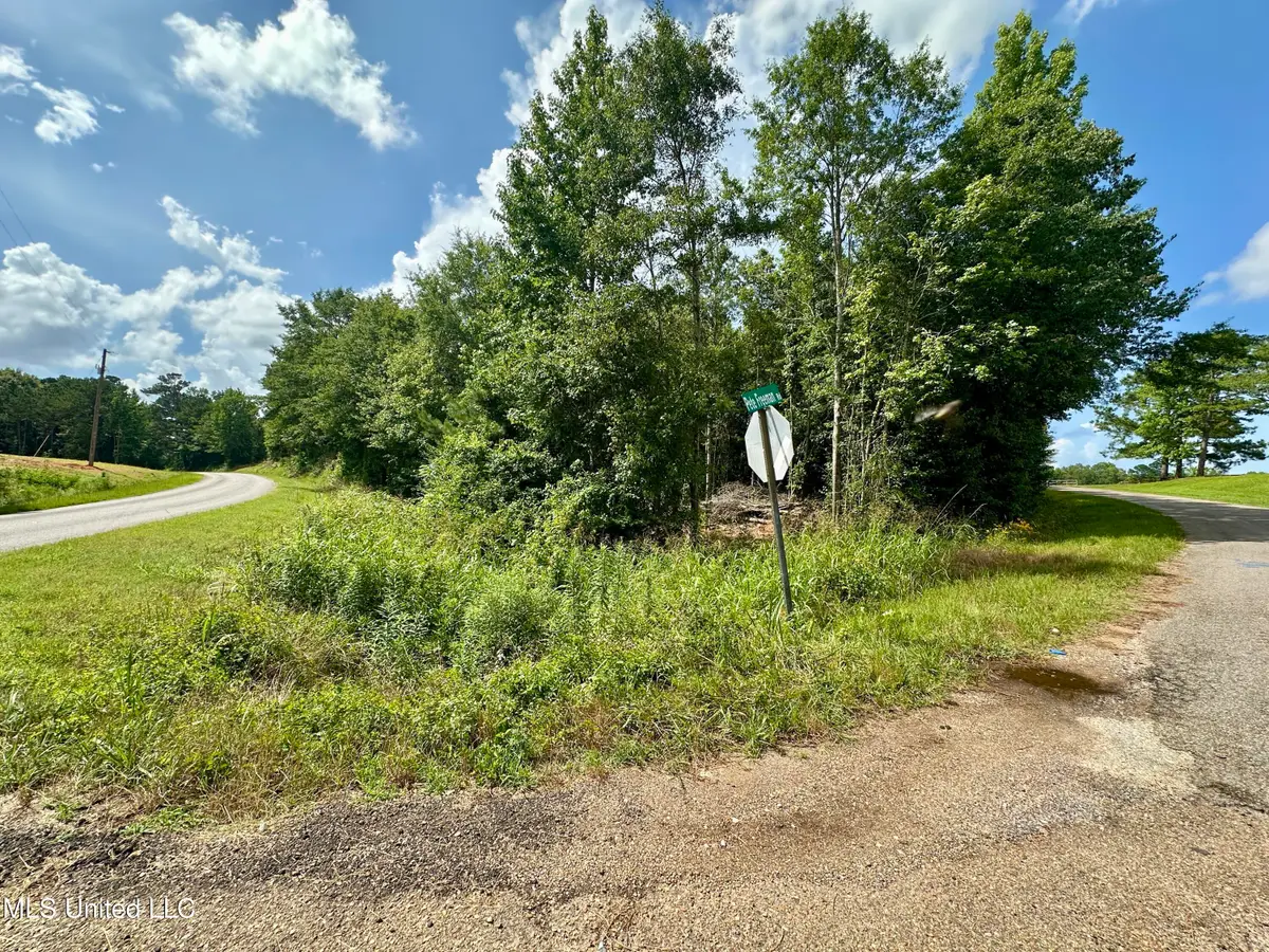 66 Pete Freeman Road Road, Decatur, MS 39327 - Image #1
