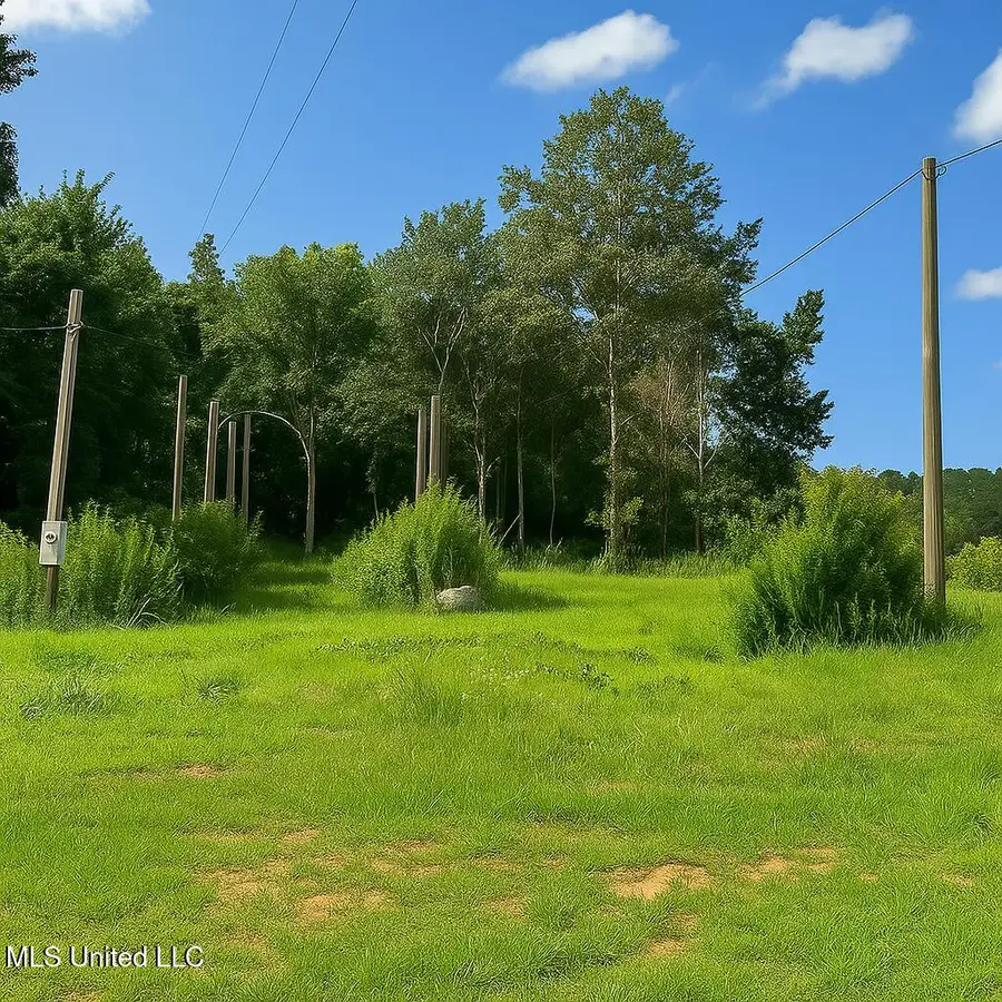 66 Pete Freeman Road Road, Decatur, MS 39327 - Image #2