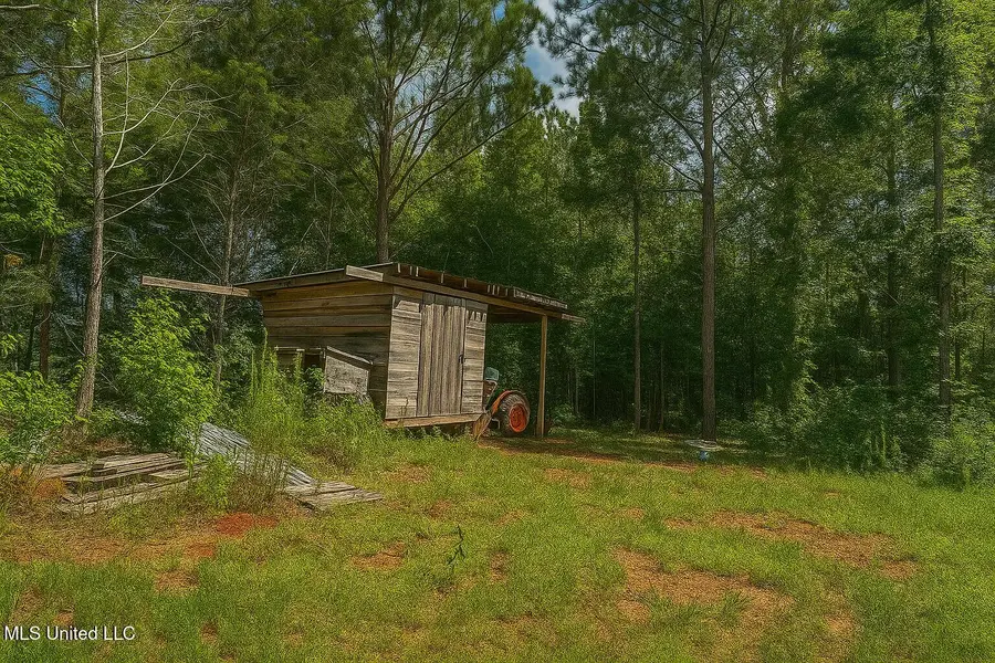 66 Pete Freeman Road Road, Decatur, MS 39327 - Image #3