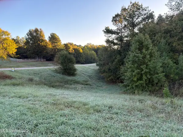 334 W Byhailia Creek Farm Road, Byhalia, MS 38611