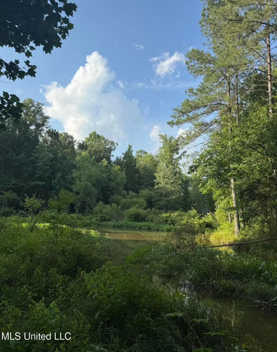 40 Acres Hwy 35, Mount Olive, MS 39119 - Image #3