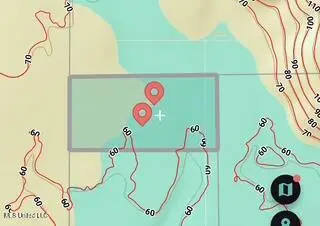 0000 Landlocked George, Lucedale, MS 39452 - Image #3