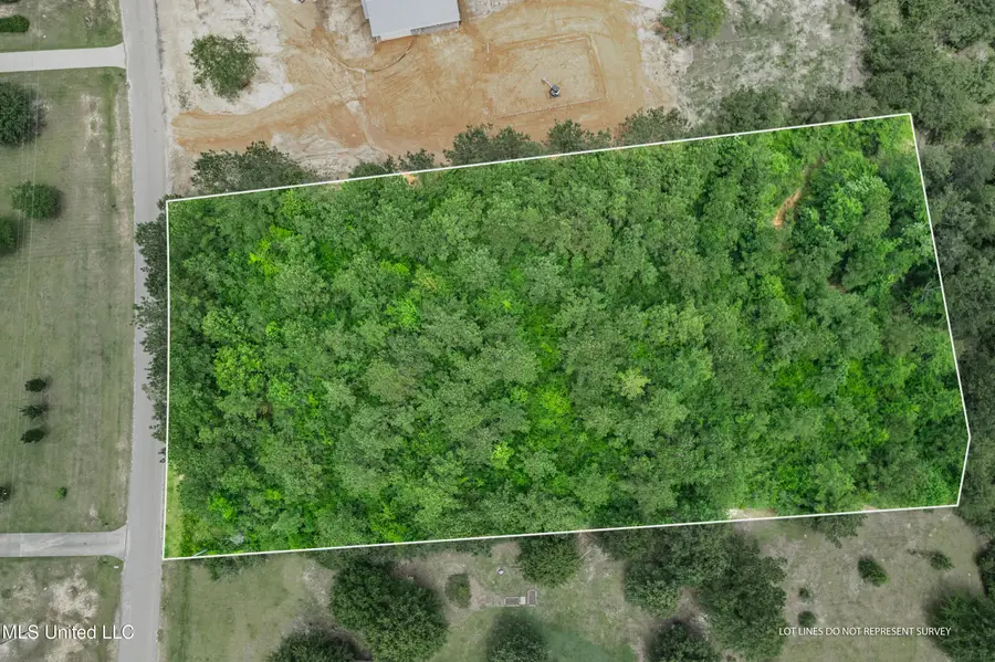 Clear Lake Road, Perkinston, MS 39573 - Image #2