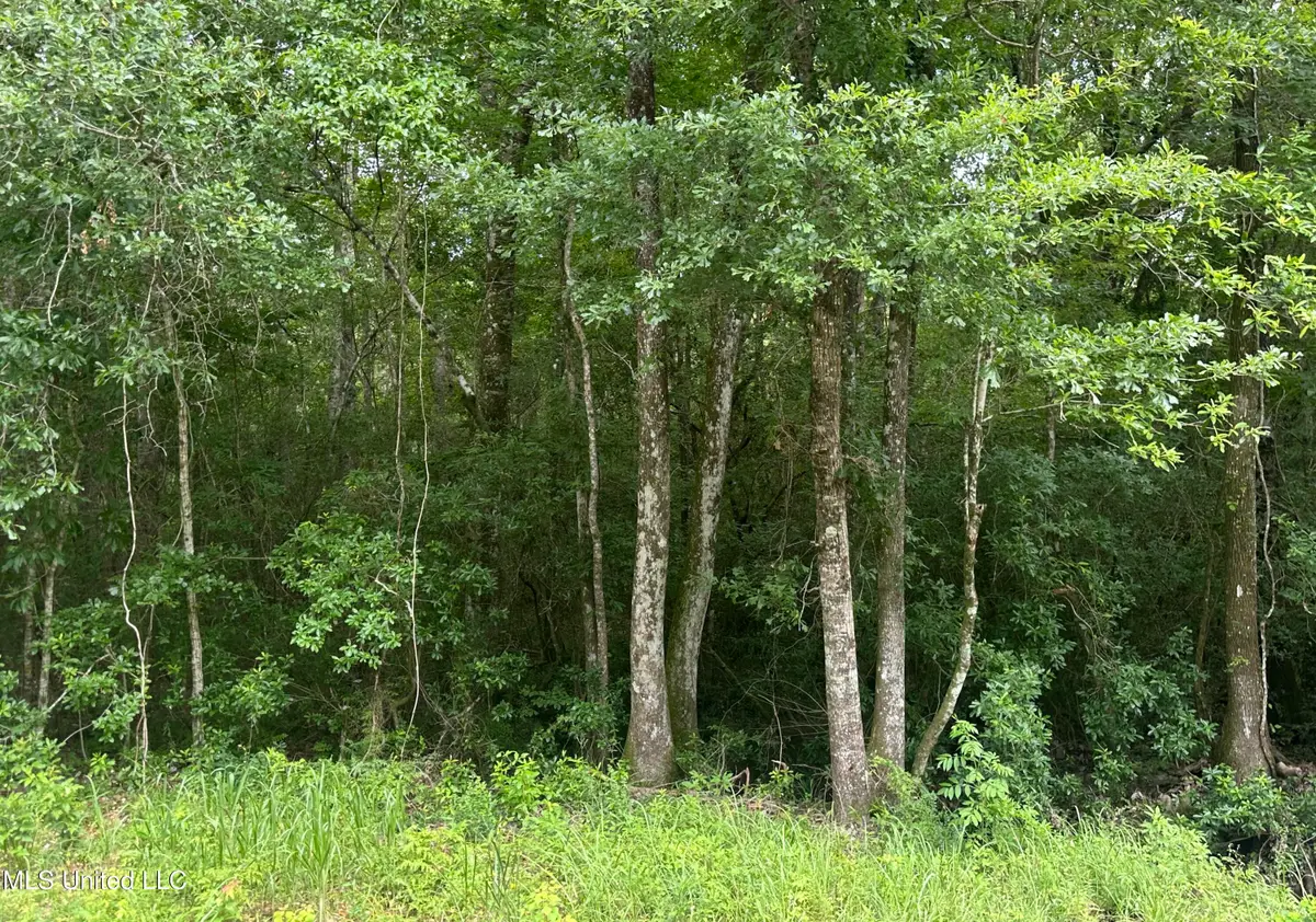 22290 Old Hwy 49, Saucier, MS 39574 - Image #1