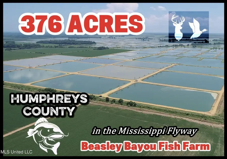 Fletcher Road, Isola, MS 38754 - Image #2