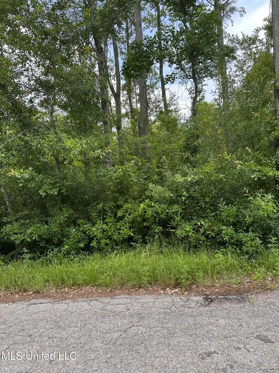 Martin Street, Moss Point, MS 39563 - Image #2