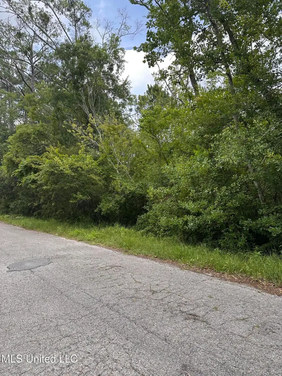 Martin Street, Moss Point, MS 39563 - Image #3
