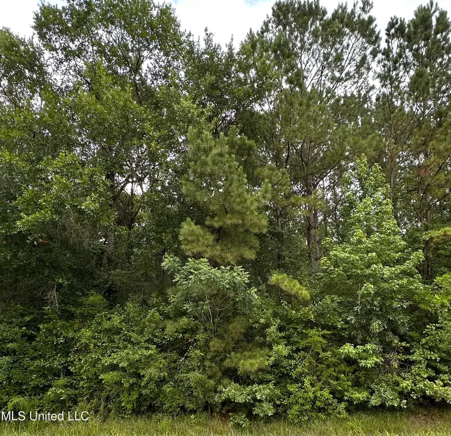 Ms-613, Moss Point, MS 39562 - Image #2