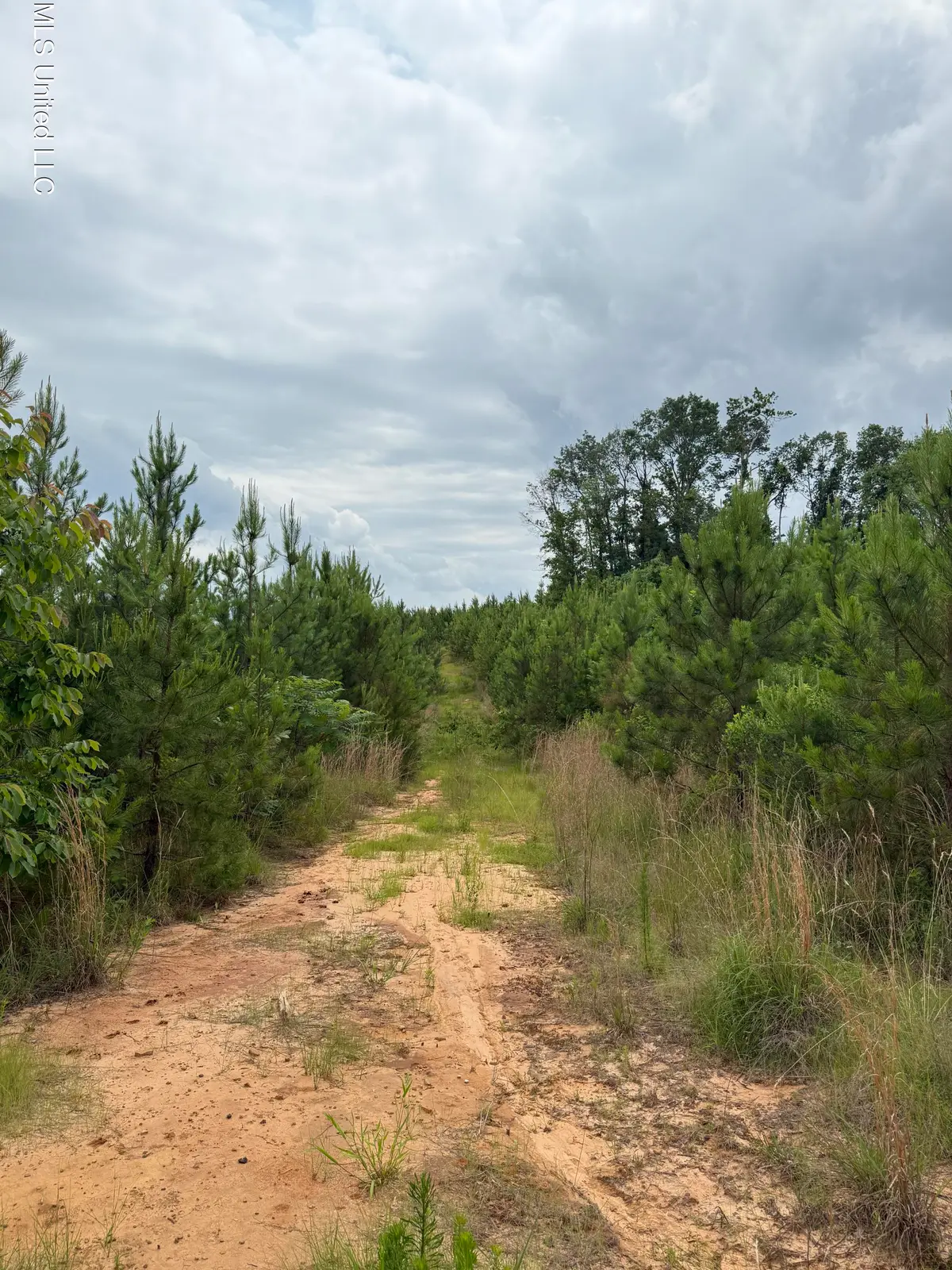Dividing Ridge Road, Gore Springs, MS 38929 - Image #1