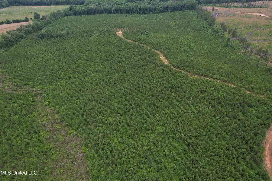Dividing Ridge Road, Gore Springs, MS 38929 - Image #3