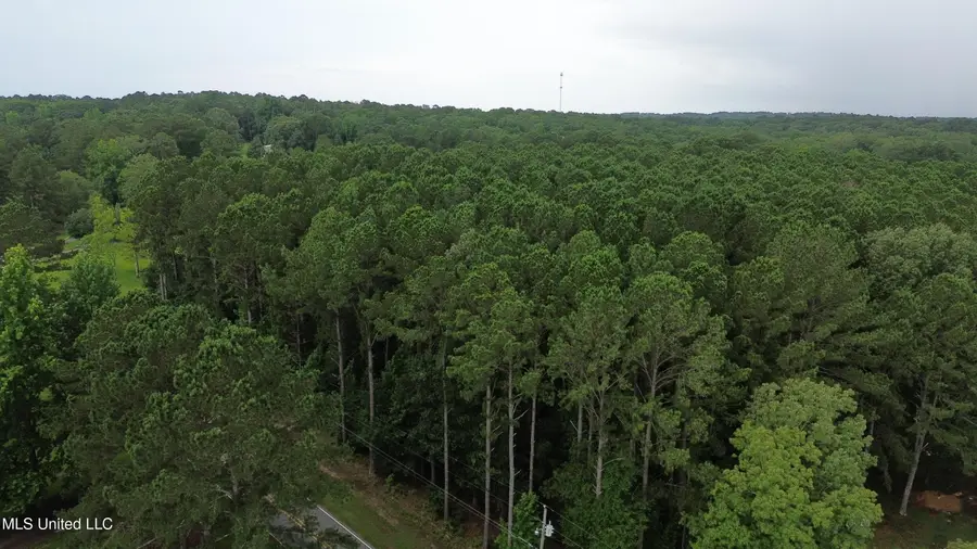 0 Hebron Hill Drive, Brandon, MS 39042 - Image #3