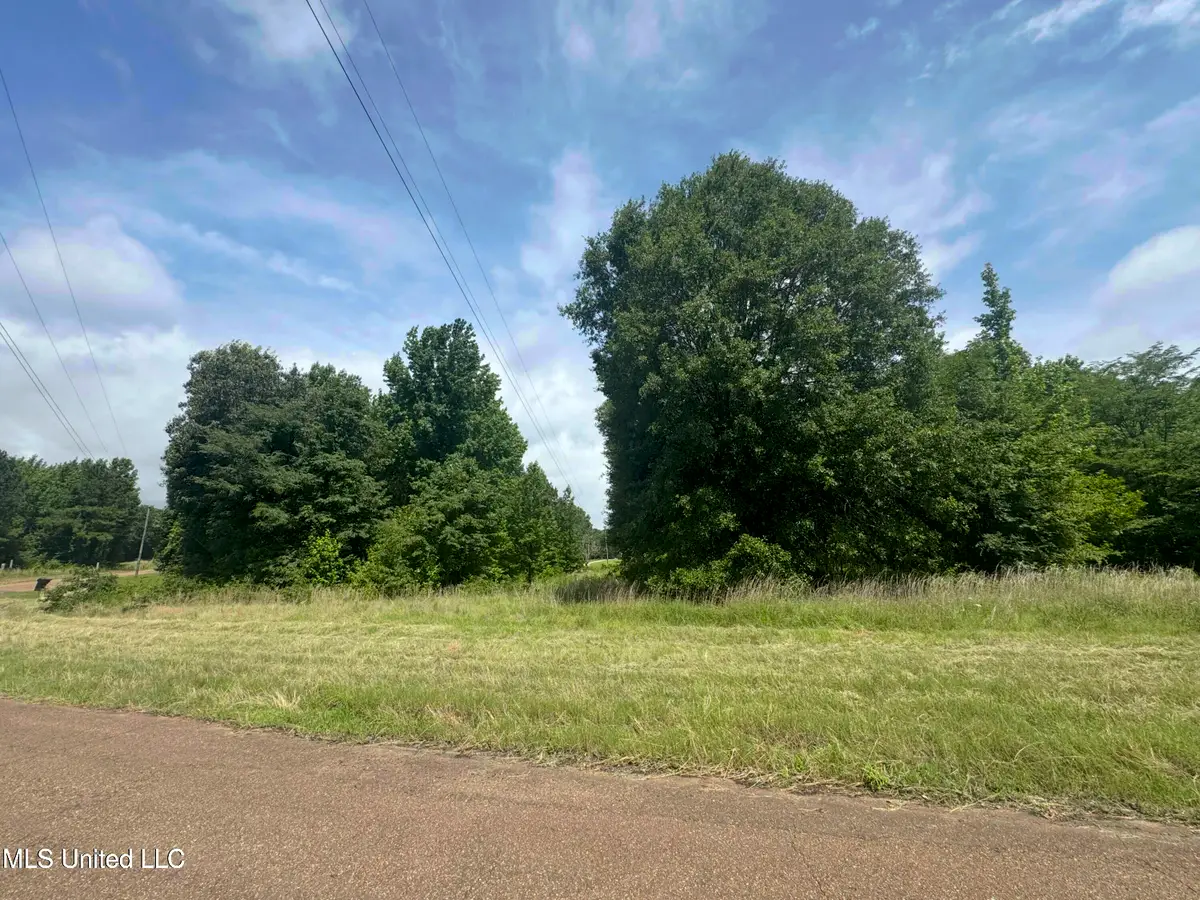 580 Hagan Road, Coldwater, MS 38618 - Image #1