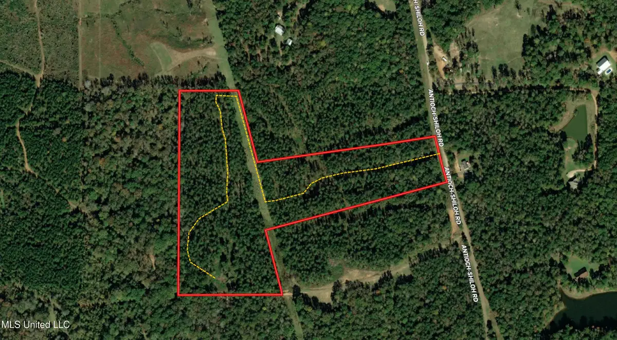 Antioch Shiloh Road, Pelahatchie, MS 39145 - Image #1