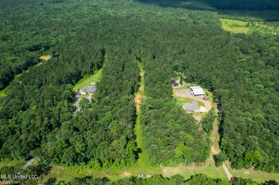 Antioch Shiloh Road, Pelahatchie, MS 39145 - Image #3