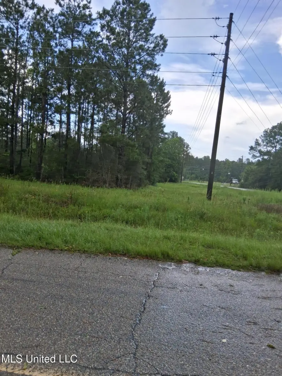 00 Lavelle Ladner Road, Lumberton, MS 39455 - Image #3