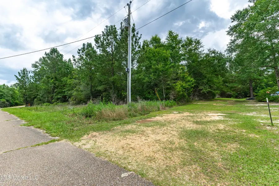 Lot 12 Jacob Michael Drive, Perkinston, MS 39573 - Image #3