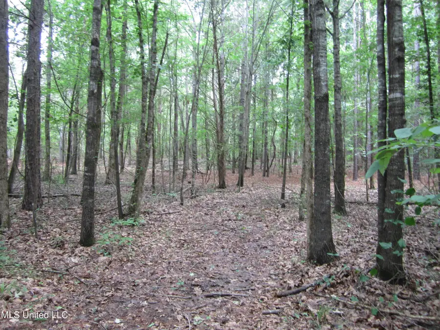 814 Ashland Road Road, Ripley, MS 38663 - Image #3